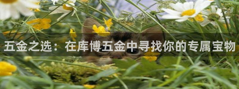 琳琅娱乐平台怎么样