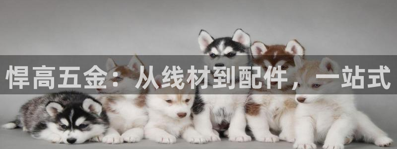 琳琅娱乐工作室