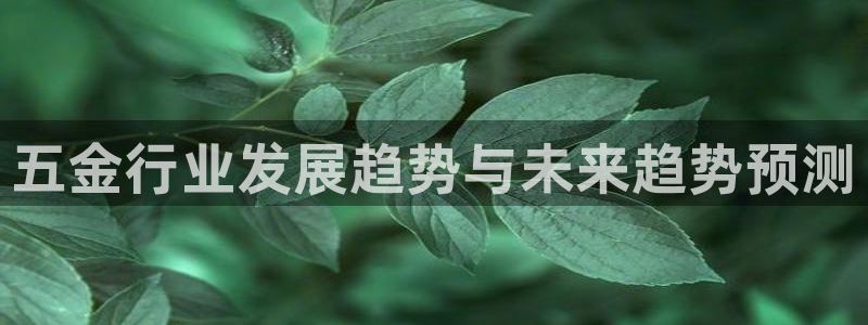 琳琅娱乐工作室