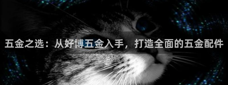 琳琅天上qq飞车娱乐