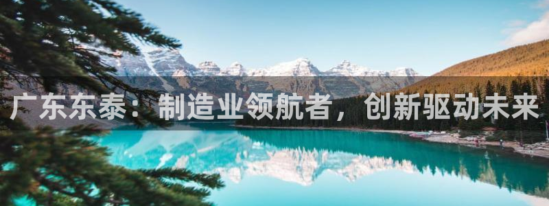 琳琅科技娱乐机器人