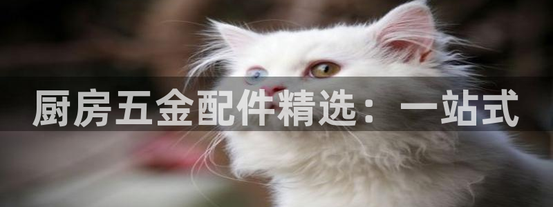 琳琅社区娱乐视频