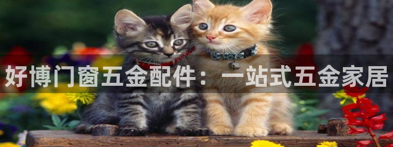 琳琅科技娱乐qq机器人词库