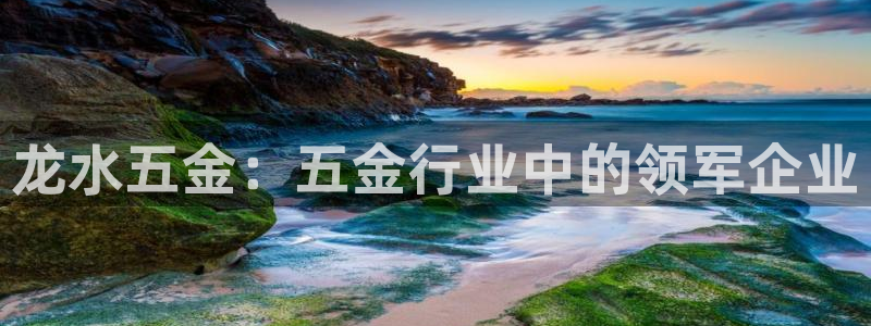 琳琅科技娱乐机器人插件