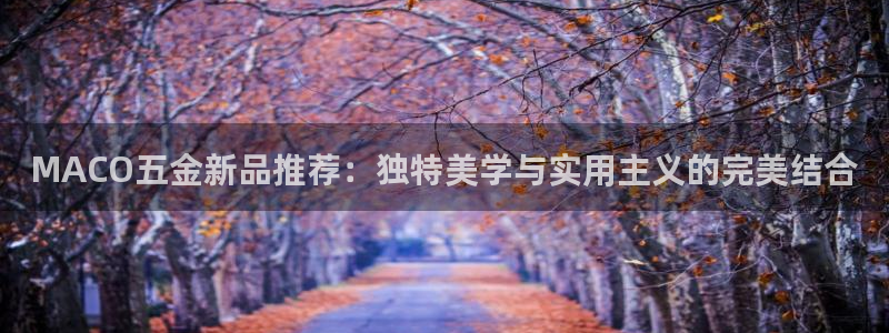 琳琅满目的娱乐设施