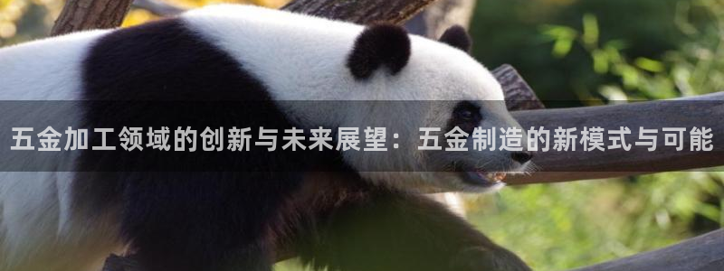 琳琅娱乐 全麦优质