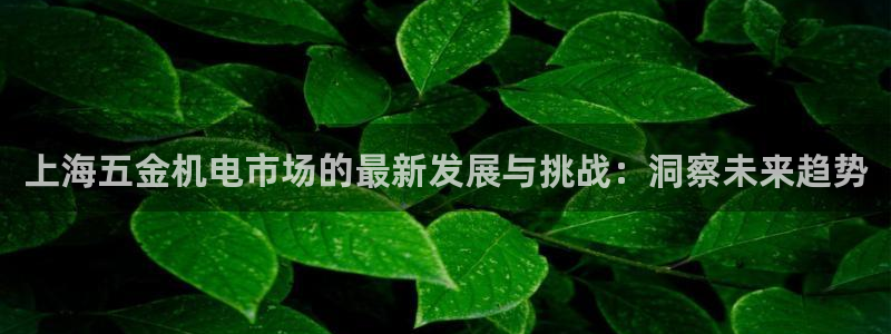 琳琅游戏娱乐