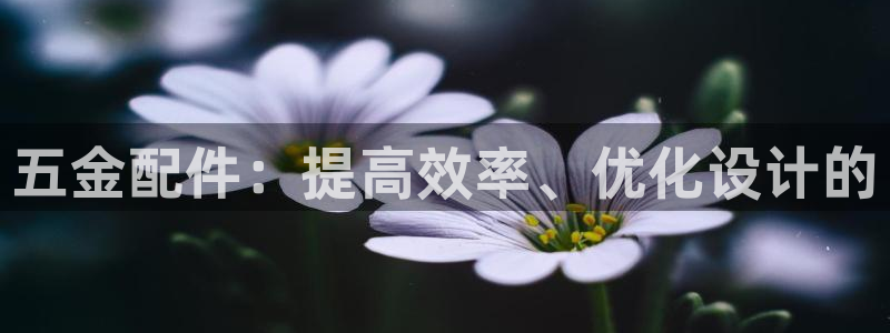 琳琅娱乐信誉33300