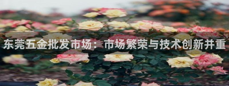 琳琅娱乐平台登陆