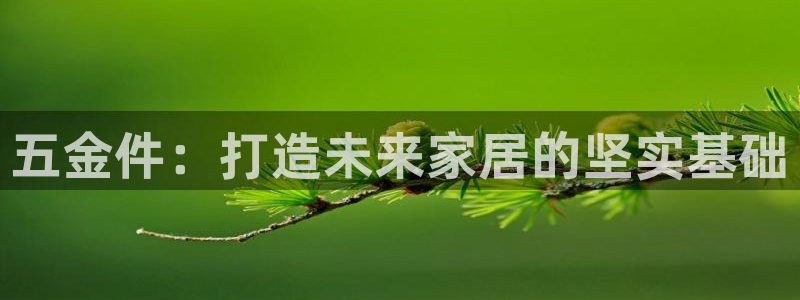 娱乐从琳琅榜开始的小说