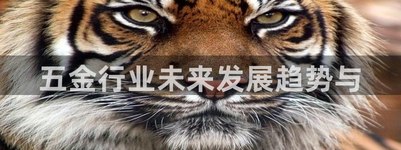 琳琅娱乐在哪直播的