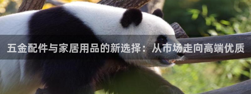 祖龙娱乐官网爱在琳琅