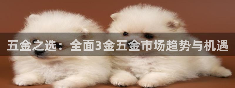 祖龙娱乐官网爱在琳琅