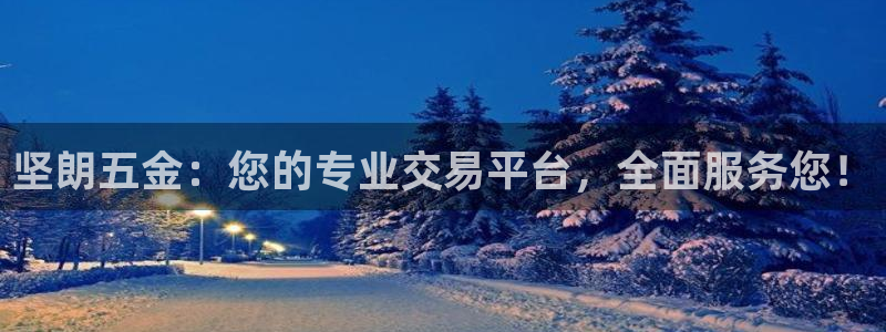 琳琅科技娱乐机器人