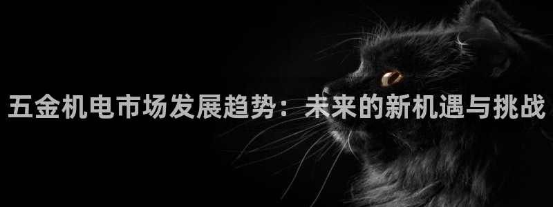 琳琅科技娱乐机器人插件