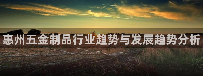 娱乐从琳琅榜开始的小说