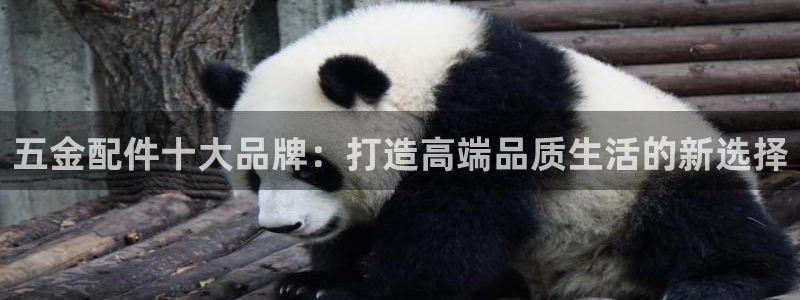 琳琅娱乐在线观看