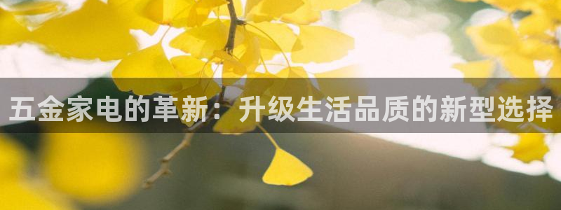 琳琅社区综艺文化娱乐