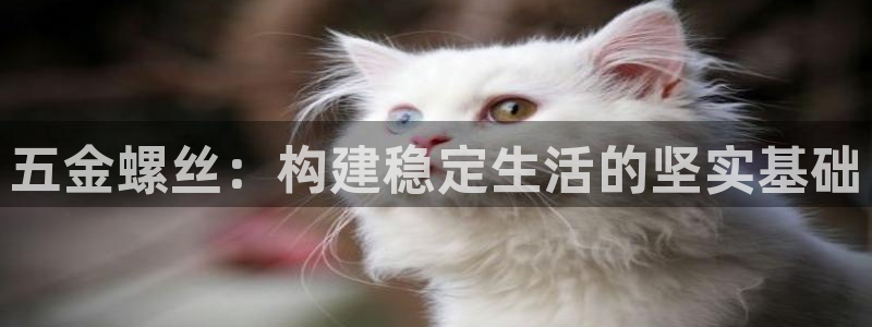 娱乐从琳琅榜开始的小说