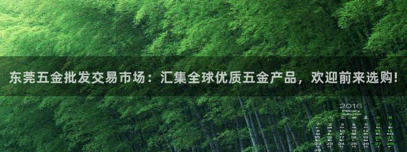 琳琅科技娱乐机器人