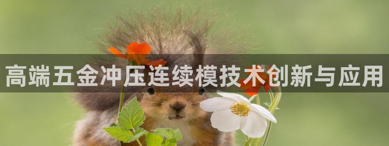 娱乐从琳琅榜开始笔趣阁