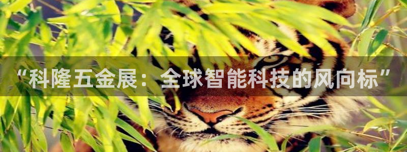 琳琅科技qq娱乐机器人怎么搞