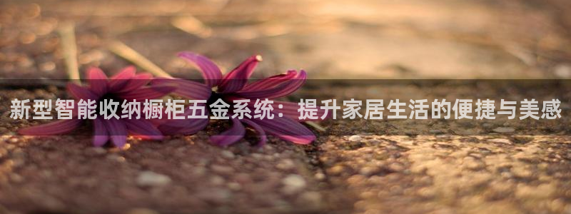 琳琅娱乐在哪直播的